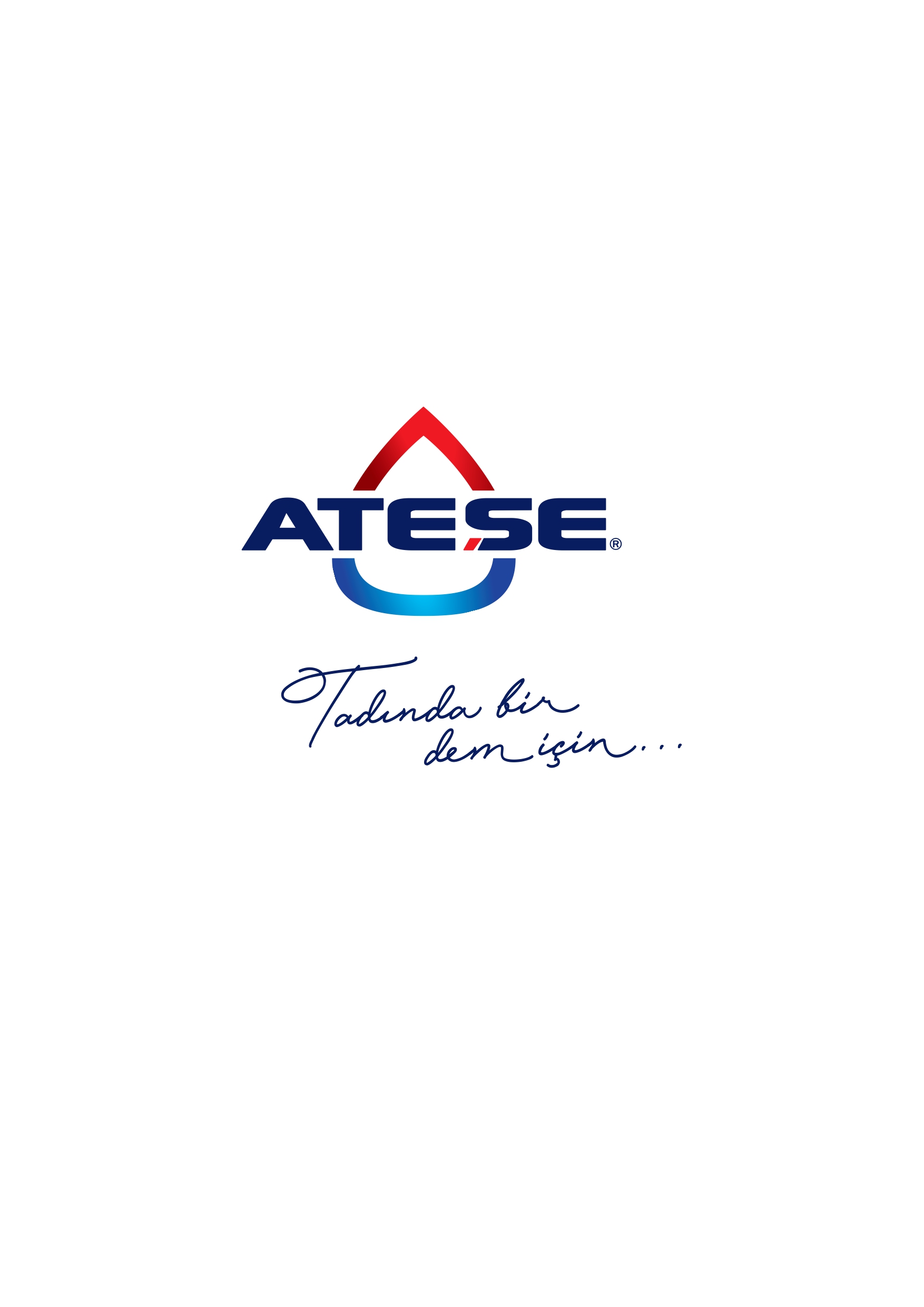 ATEŞE MAKİNE KAZAN İNŞ. GIDA PAZ. SAN. VE TİC. A.Ş.