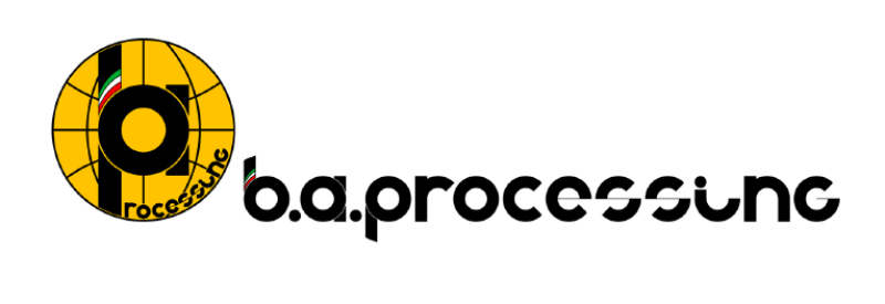 B.A. PROCESSING S.R.L.
