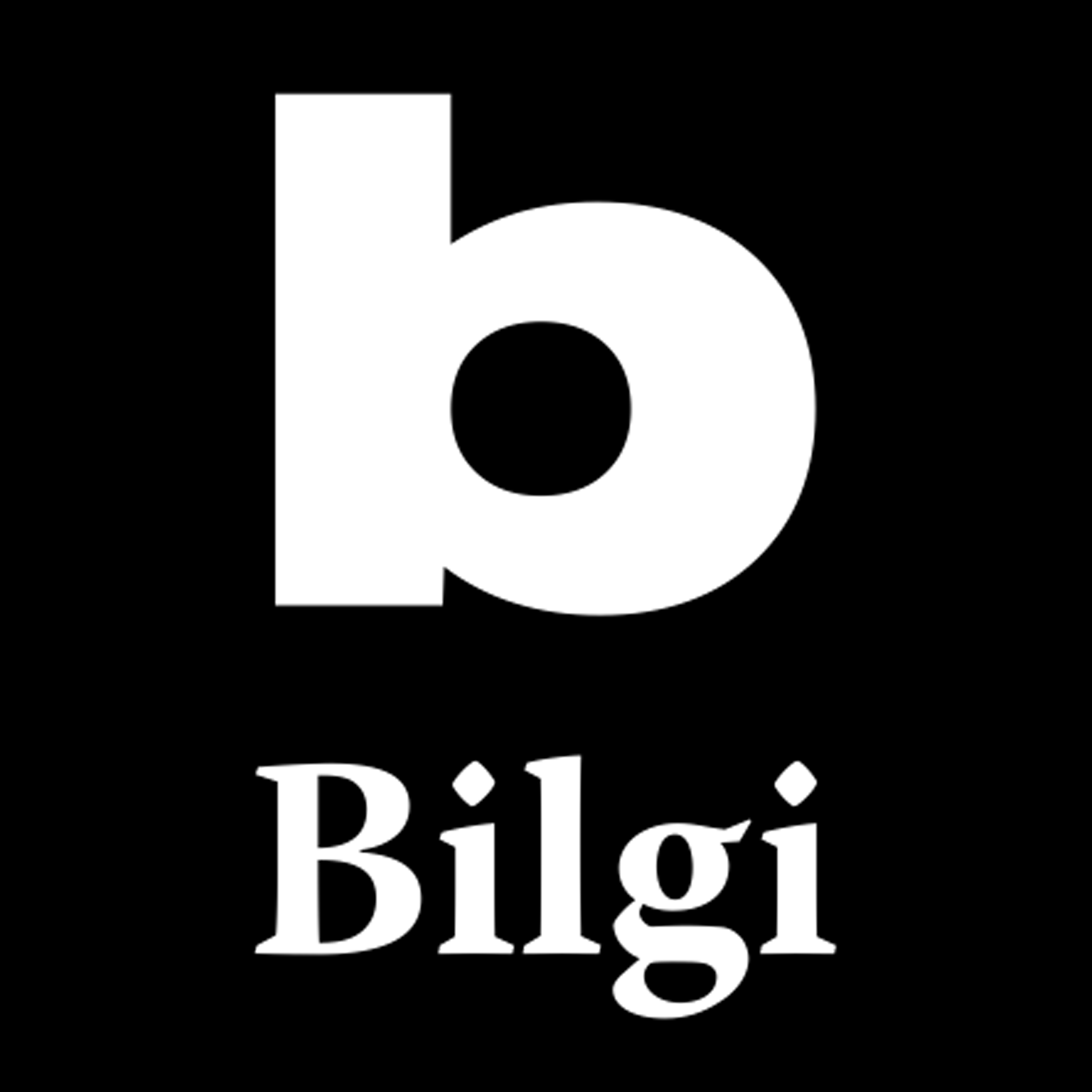 BİLGİ YAYINEVİ BASIM DAĞITIM KİTABEVİ VE KIRTASİYE A.Ş.