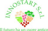 INNOSTART SRL