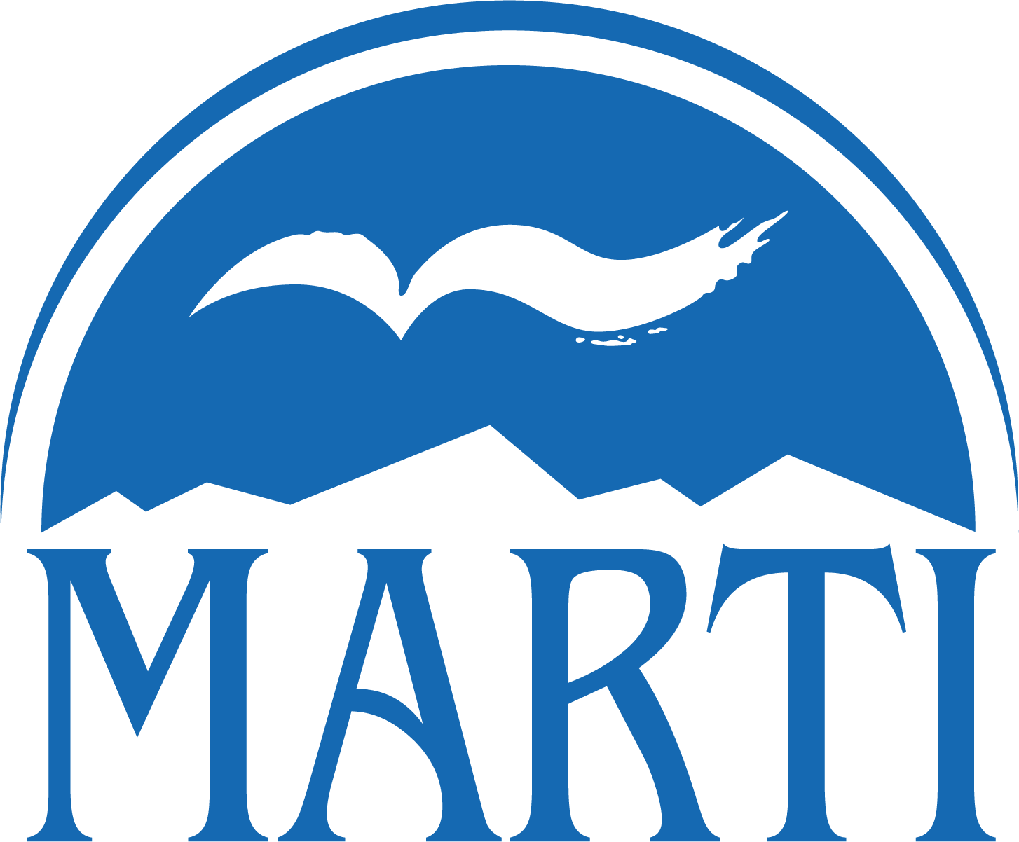 MARTI YAYINLARI