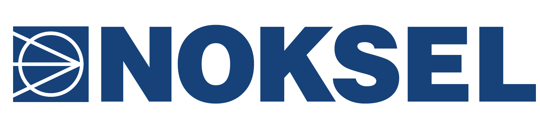 NOKSEL ÇELİK BORU SANAYİ A.Ş.