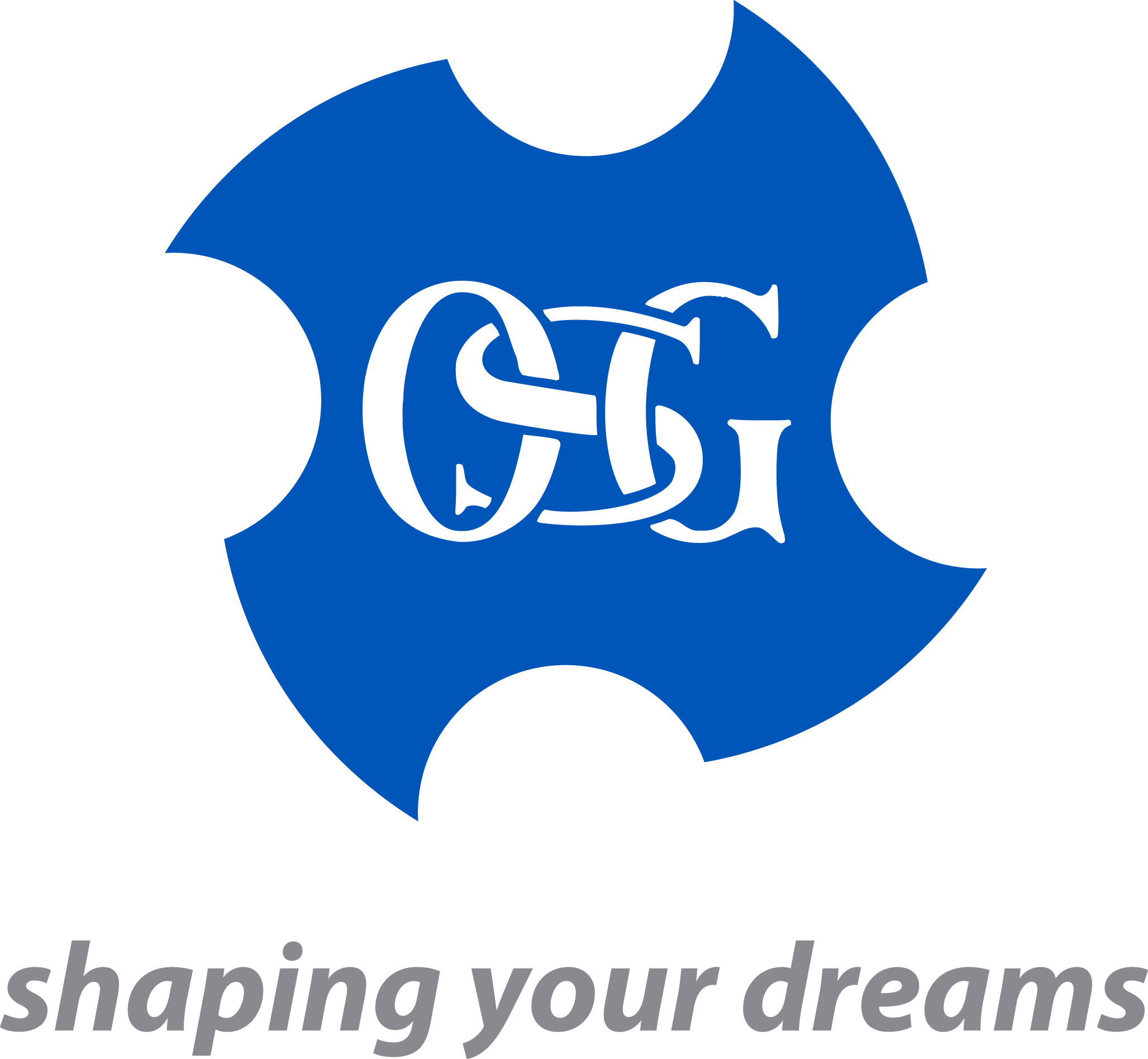 OSG TURKEY KESİCİ TAKIMLAR SAN. İÇ VE DIŞ TİC.A.Ş