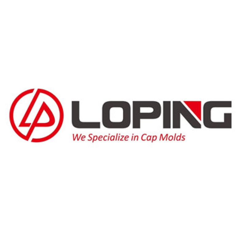 TAIZHOU LOPING PLASTIC MOULD CO. LTD