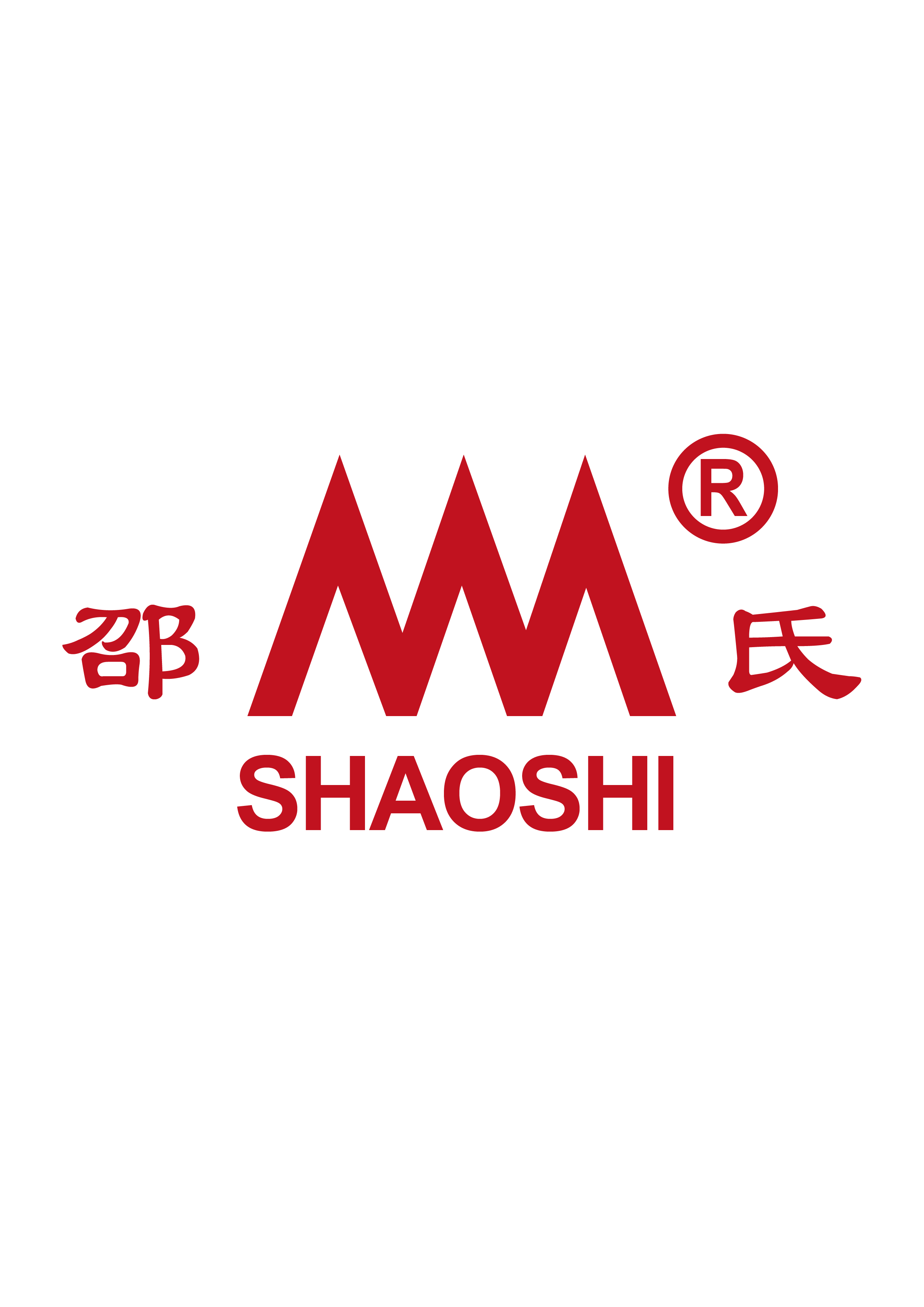 TAIZHOU SHAOSHI TOOLS CO., LTD