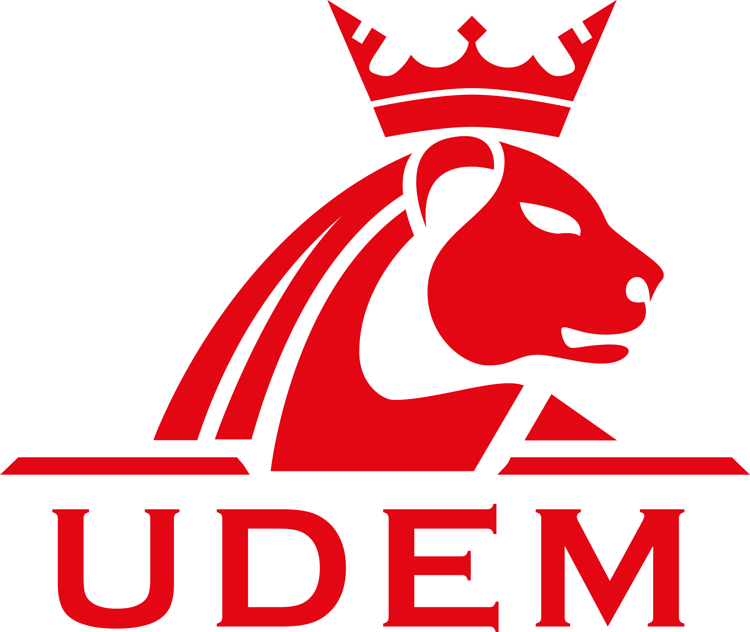 UDEM ULUSLARARASI BELGELENDİRME DEN. EĞT. MERK. SAN. VE TİC. A.Ş